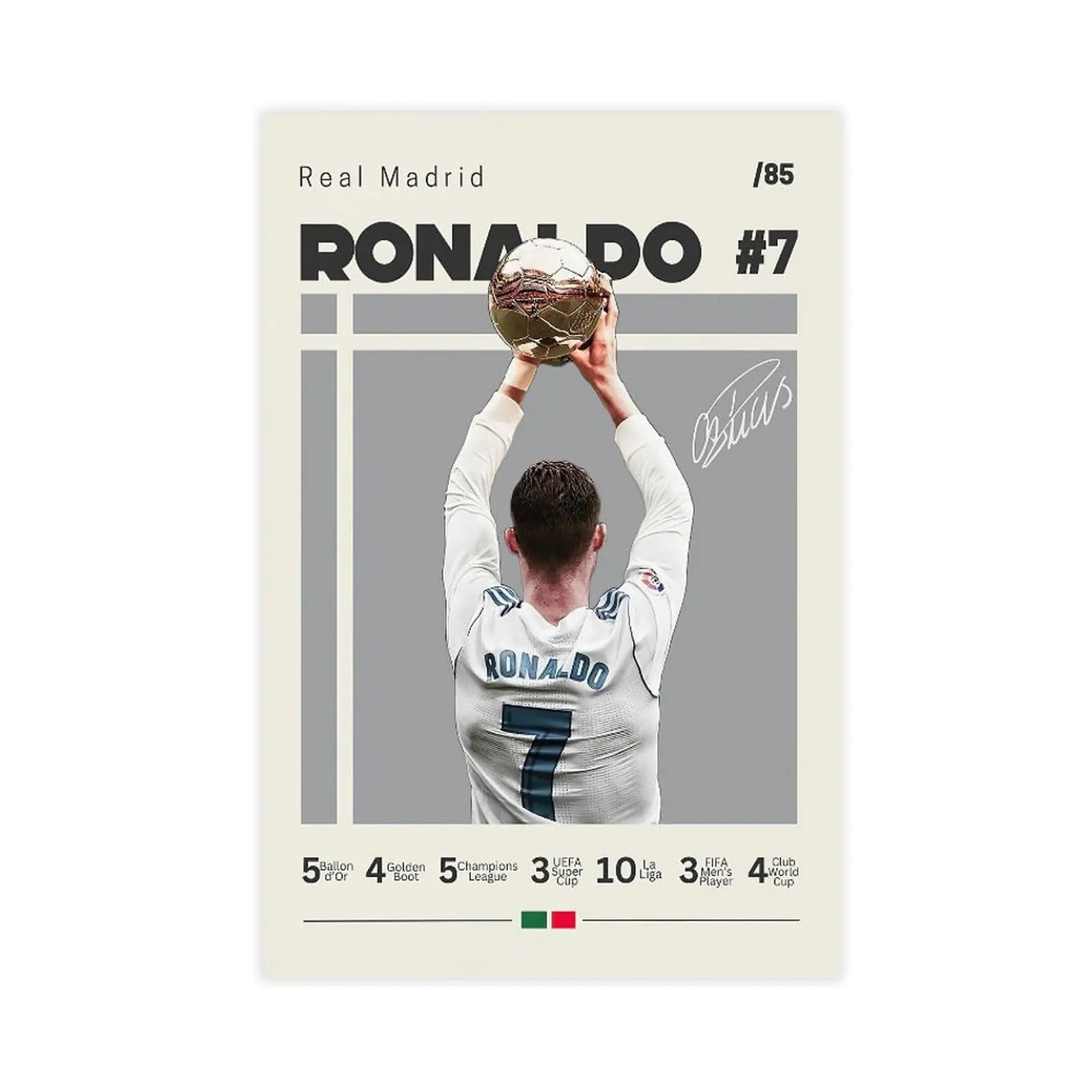 Ronaldo Soccer Football Art Canvas Painting